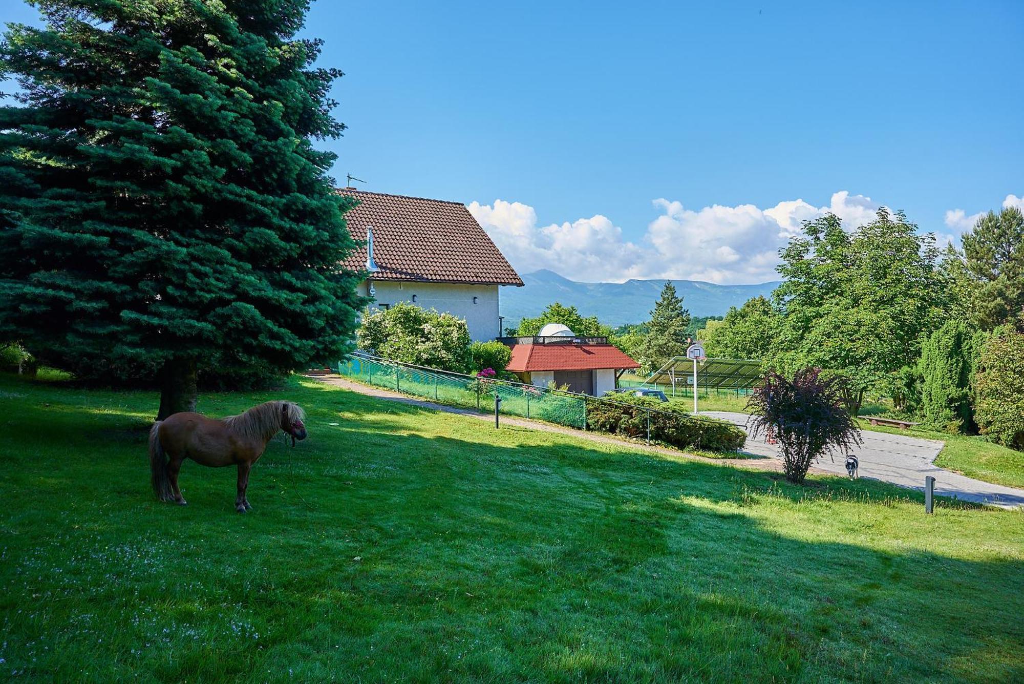 Willa Pod Brzeznikiem Bukowiec  Dış mekan fotoğraf